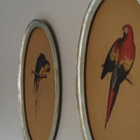 Owd Peg's, Traditional Cottage-bowness Centre Bowness-on-Windermere